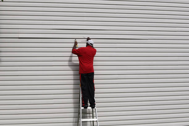Best Stone Veneer Siding  in Pineville, KY